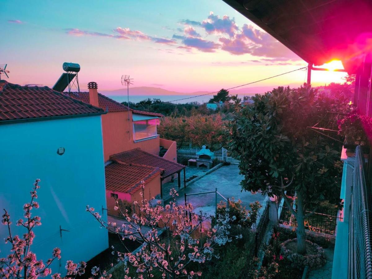 Adam'S Holiday House 2019 Kariani Ngoại thất bức ảnh