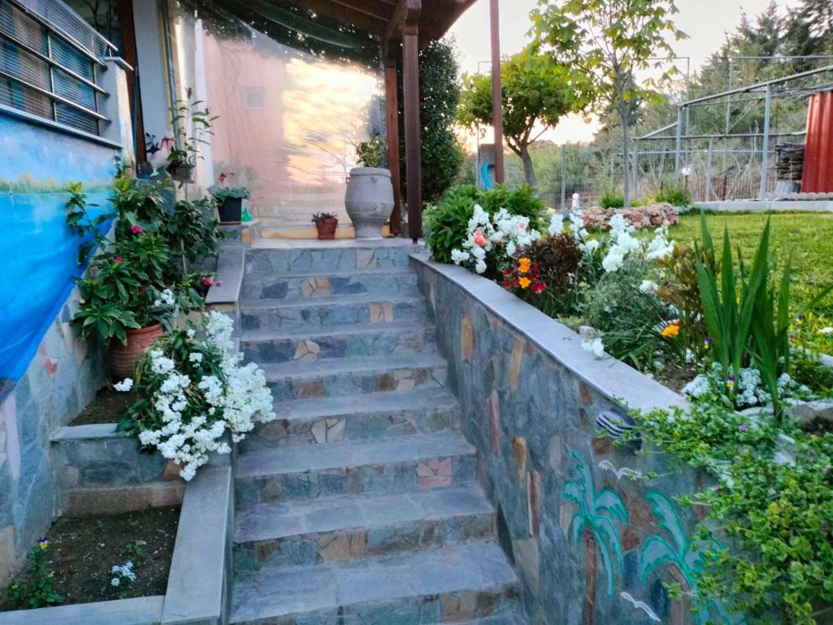 Adam'S Holiday House 2019 Kariani Ngoại thất bức ảnh