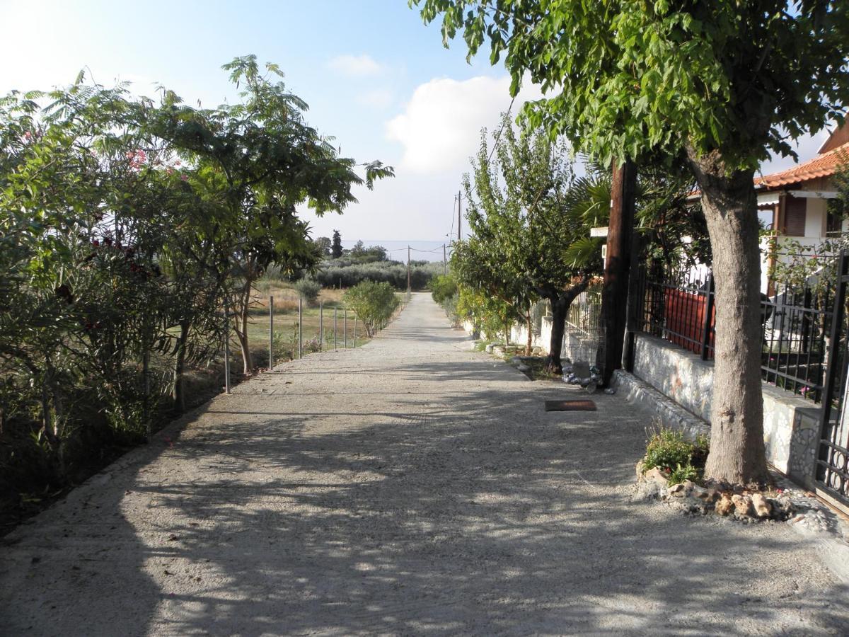 Adam'S Holiday House 2019 Kariani Ngoại thất bức ảnh